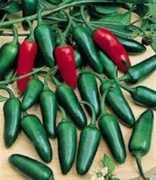 Jalapenjo paprike - Donja Bistra, Bistra