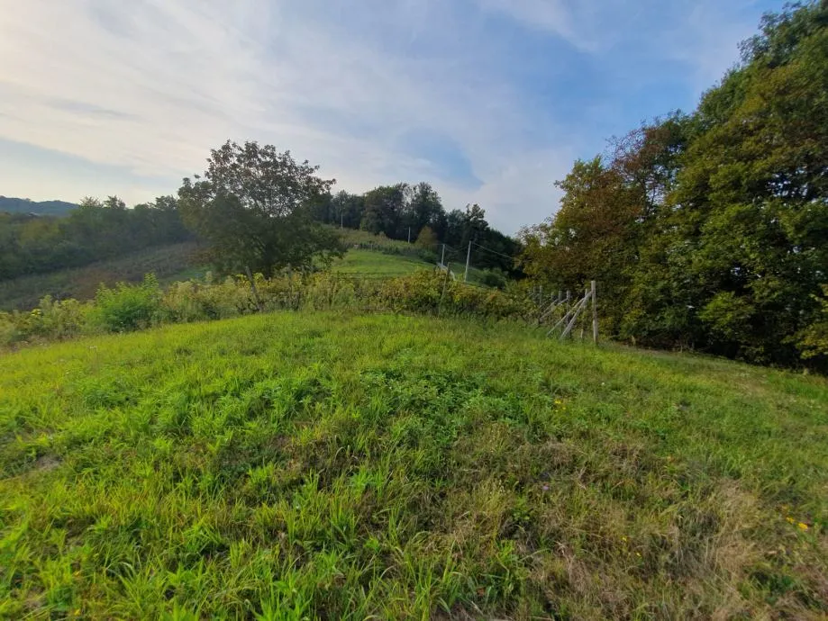 građevinsko zemljište, merenje, 4200 m2 - slika 3