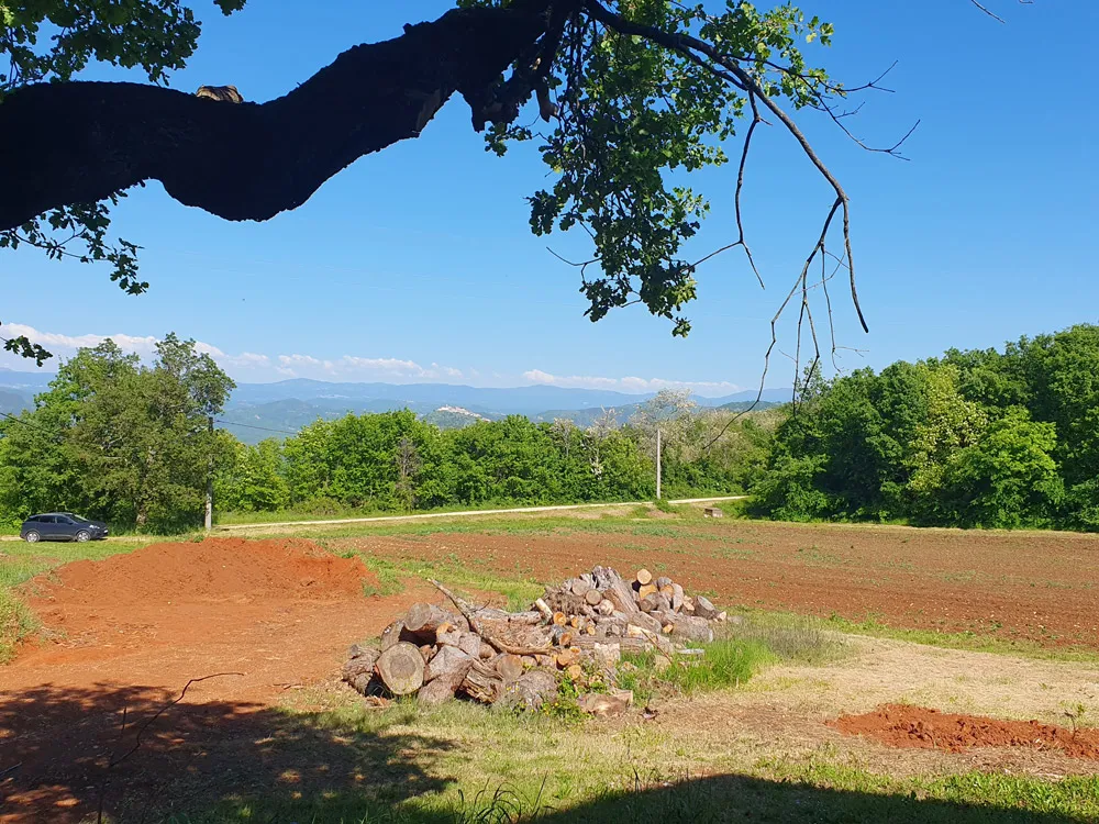 vižinada, imanje s kućom od 180 m2 i zemljištem 35380 m2, kop-740 - slika 2