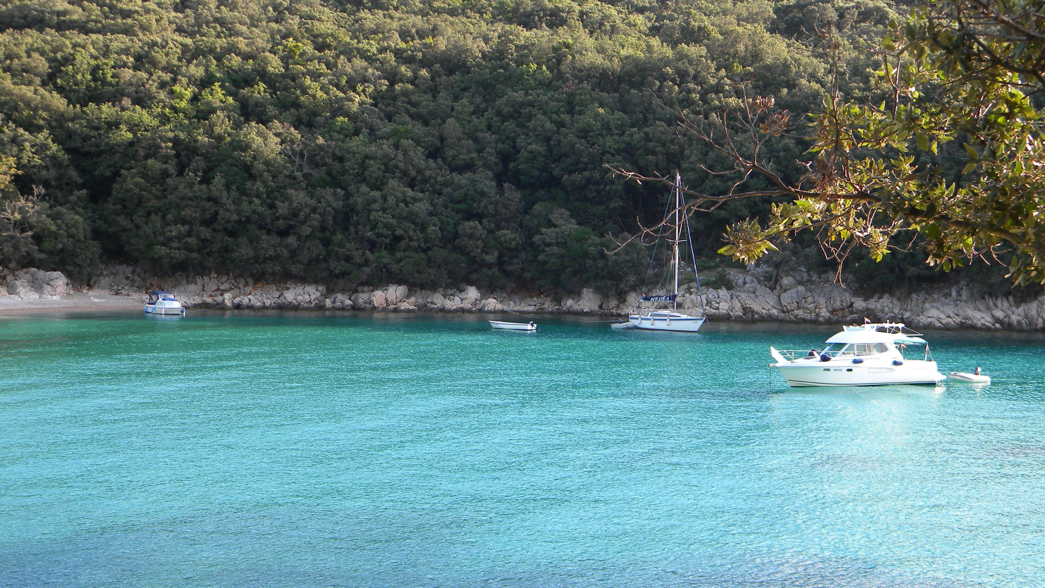 otok cres poljoprivredno zemljište u blizini mora, 200m2, 7000eur - slika 4