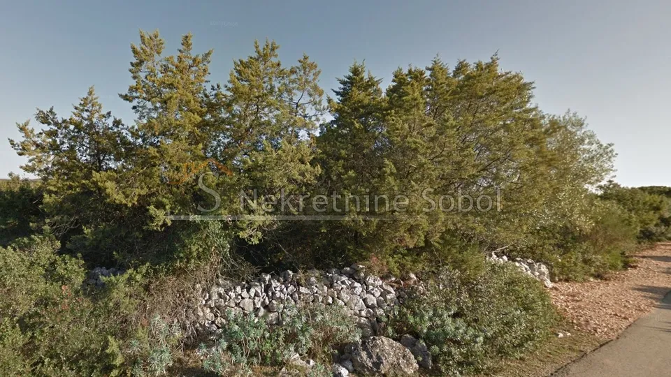 Punta Križa, Otok Cres - Poljoprivredno, 68484 m2 Prodaja - Punta Križa, Mali Lošinj