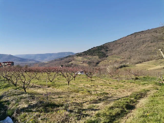 Građevinsko zemljište 3306m2 sa pogledom na Motovun - Kaldir, Motovun