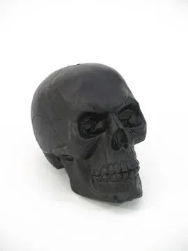 europalms skull, black - slika 3