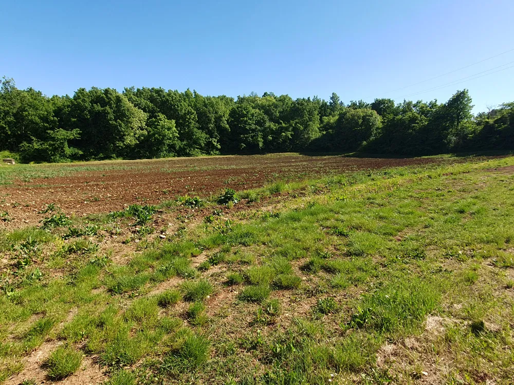 vižinada, imanje s kućom od 180 m2 i zemljištem 35380 m2, kop-740 - slika 8