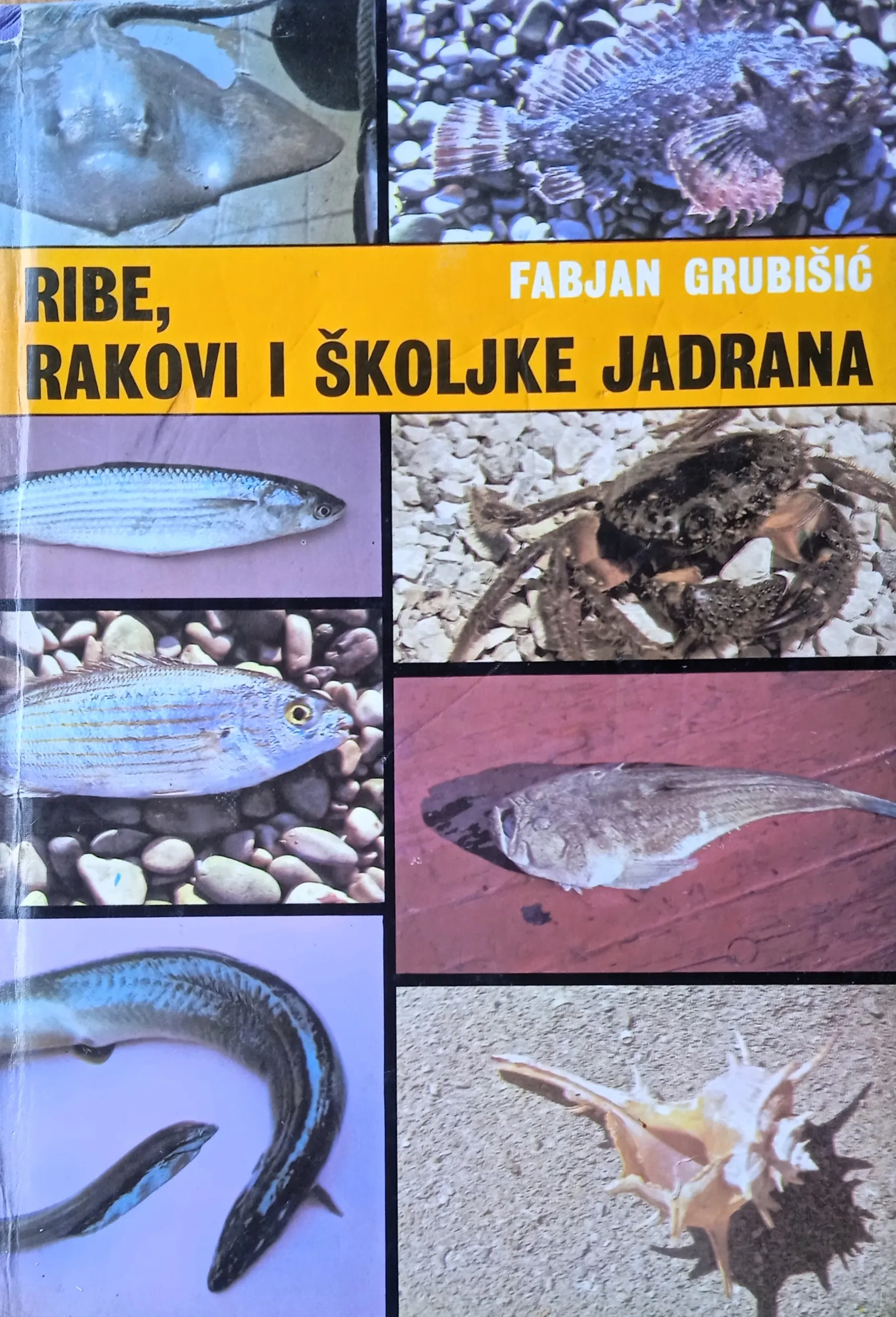 RIBE RAKOVI ŠKOLJKE JADRANA Fabjan Grubišić - Sisak