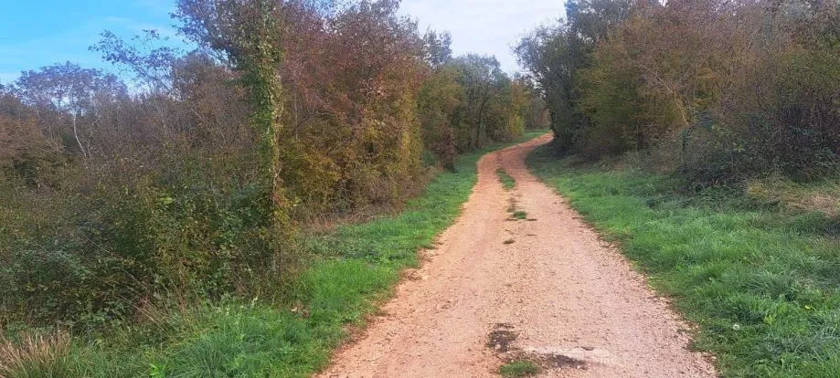 Tar-Poljoprivredno Zemljište Na Prodaji - Tar, Tar-Vabriga