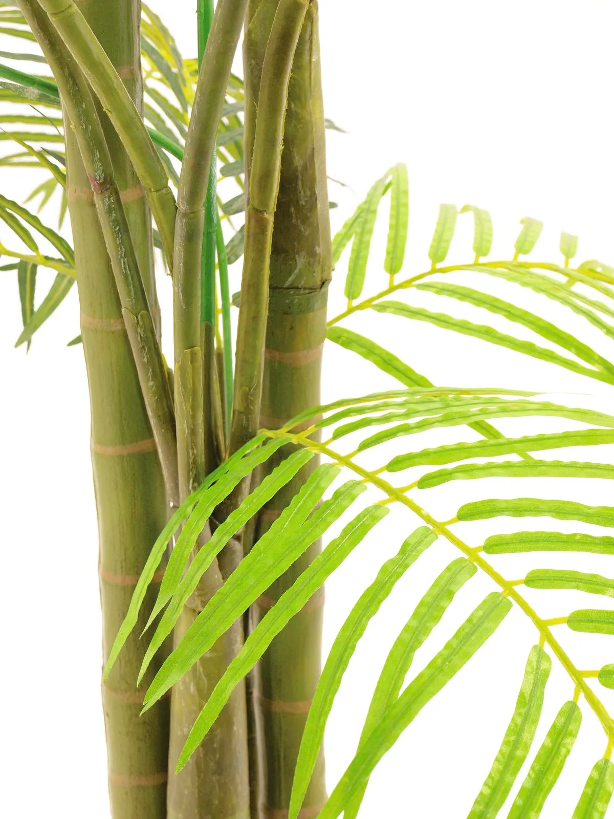 europalms areca palm, 3 trunks, 210cm - slika 2