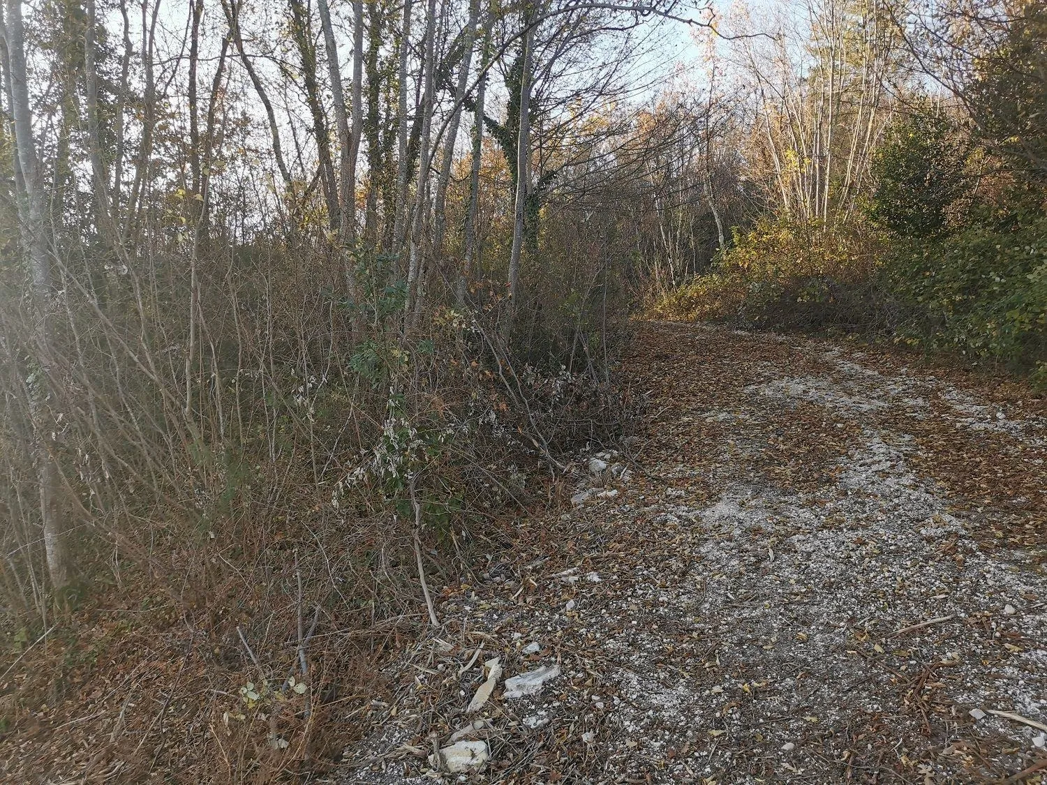 vižinada- građevinsko zemljište na osami - slika 11