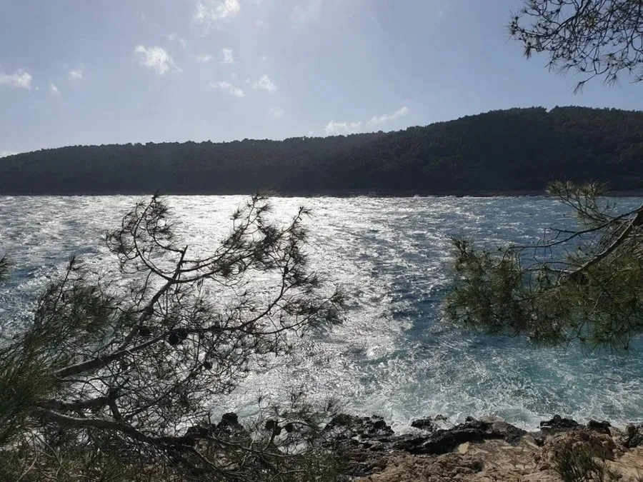 građevinsko zemljište na prodaju - vela luka - slika 8