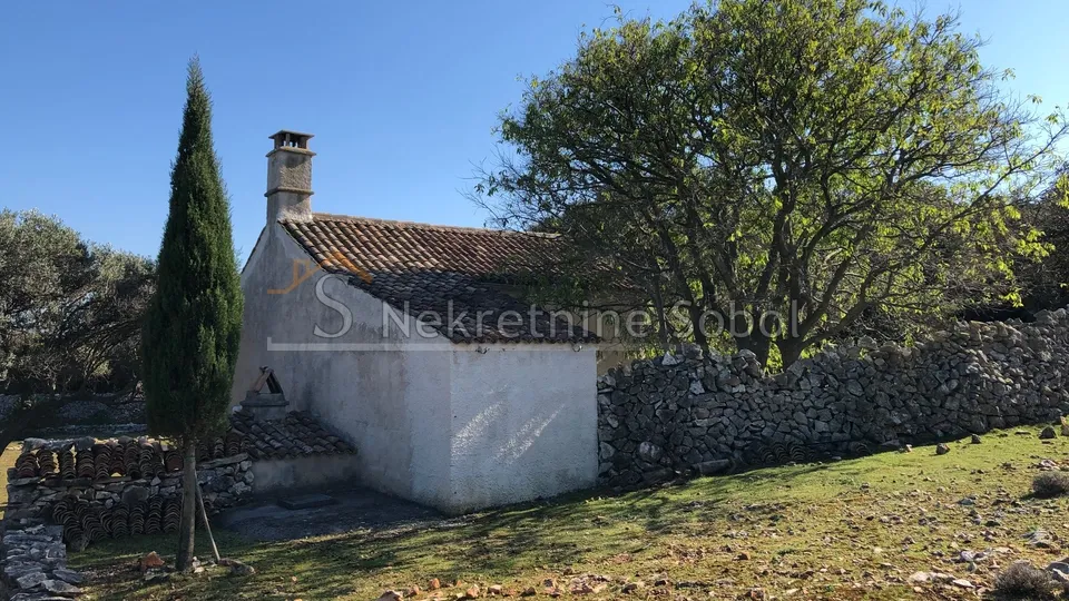 punta križa, otok cres - zemljište, 76133 m2 prodaja - slika 20