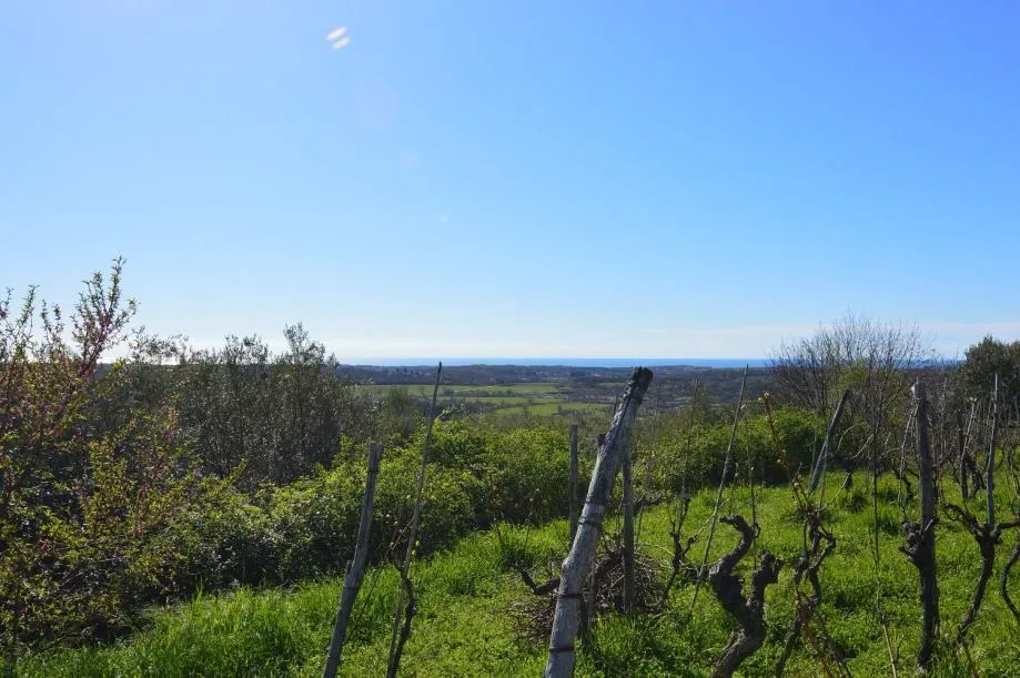 buje građevinsko zemljište sa panoramskim pogledom na more - slika 8