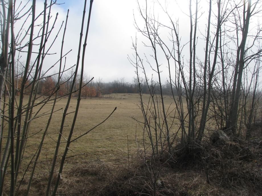 zemljište: lovinac, 42.343 m2, građevinsko, poljoprivredno - slika 6