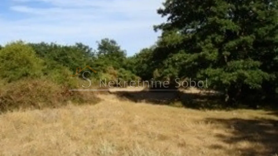 cres, beli - poljoprivredno, 47534 m2 prodaja - slika 2