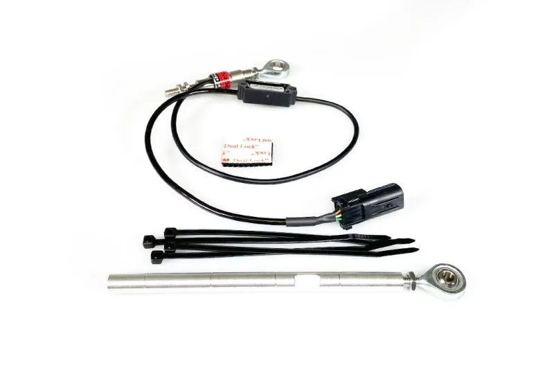 cordona quickshifteri - slika 3
