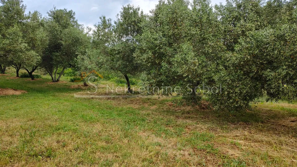 mali lošinj - građevinsko zemljište, 1903 m2 prodaja - slika 7