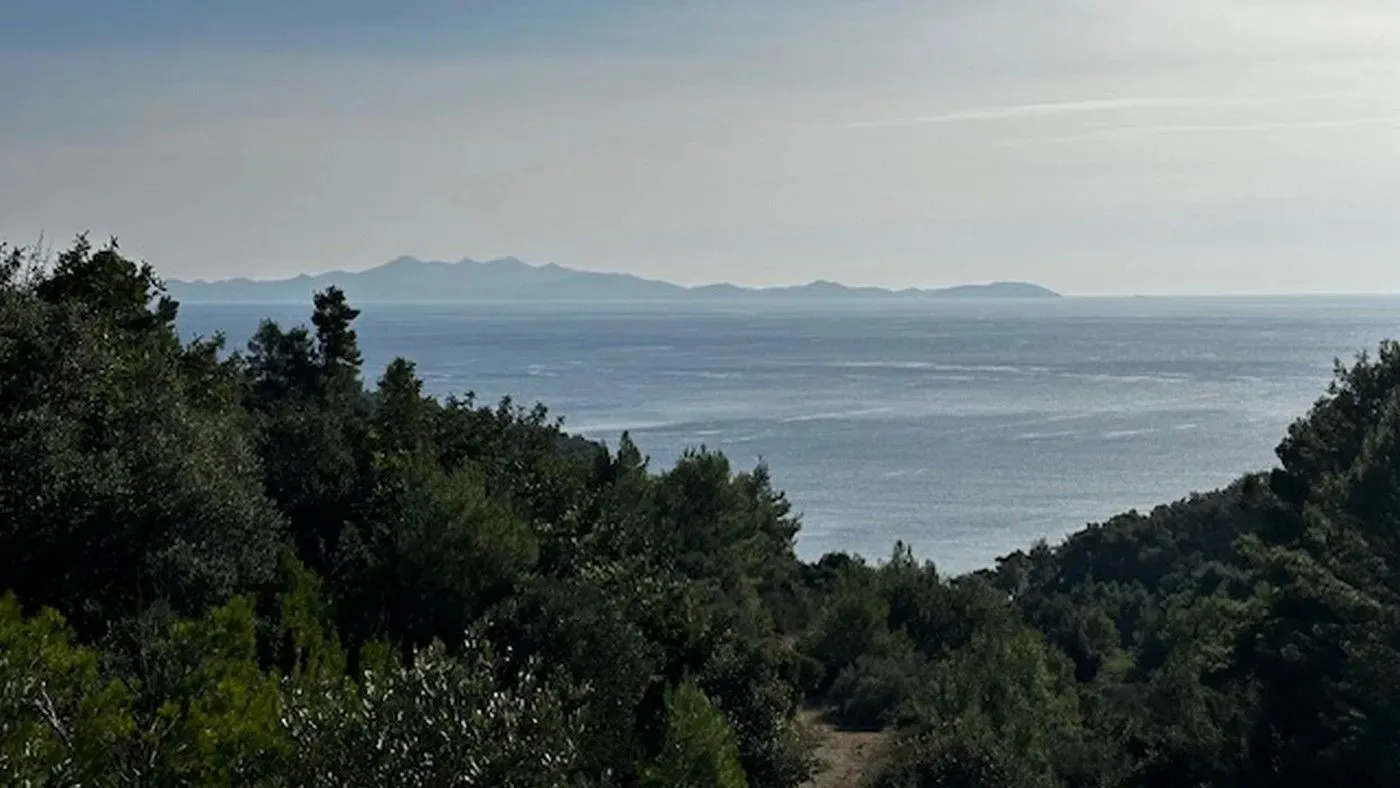 poljoprivredno zemljište na prodaju - blato - slika 15