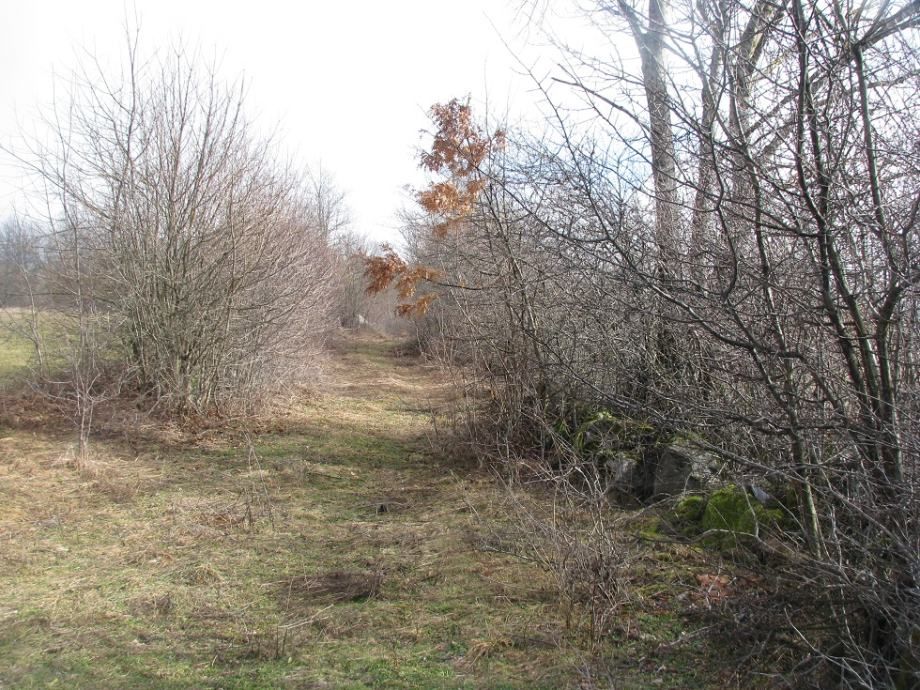 zemljište: lovinac, 42.343 m2, građevinsko, poljoprivredno - slika 4