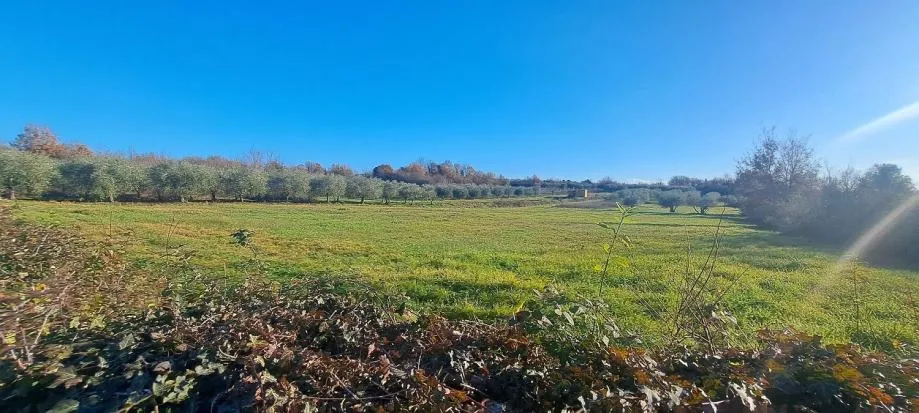 Vabriga-Zemljište Za Sport I Rekreaciju Na Prodaju - Vabriga, Tar-Vabriga