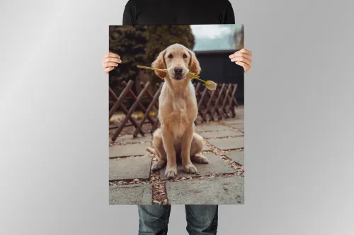 poster sa fotografijom kućnog ljubimca - slika 2