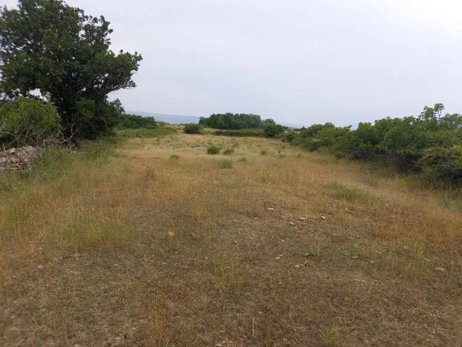 ražanac( rudići)-poljoprivredno zemljište s pogledom na more 3215 m2 - slika 6