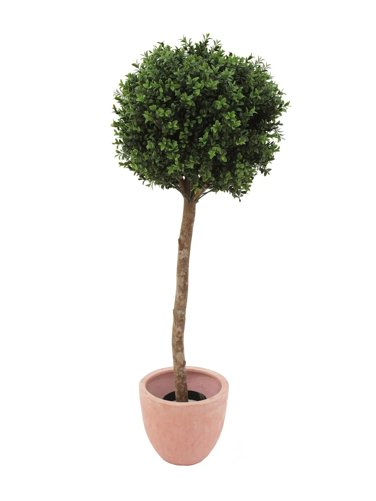 EUROPALMS Plastic boxwoodball tree, 110cm - Križevci