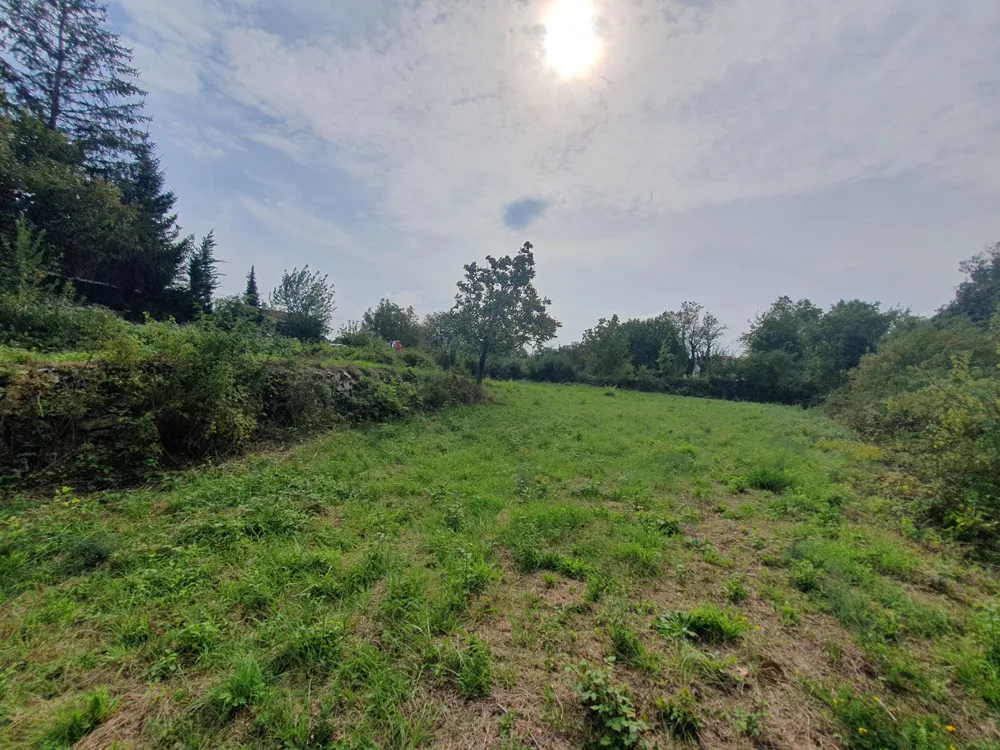 prodaja, građevinsko zemljište, sveti petar u šumi, 1522 m2 (z-661) - slika 7