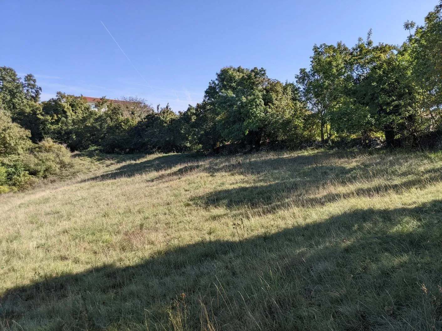Istra, Svetvinčenat, kompleks građevinog i poljoprivrednog zemljišta