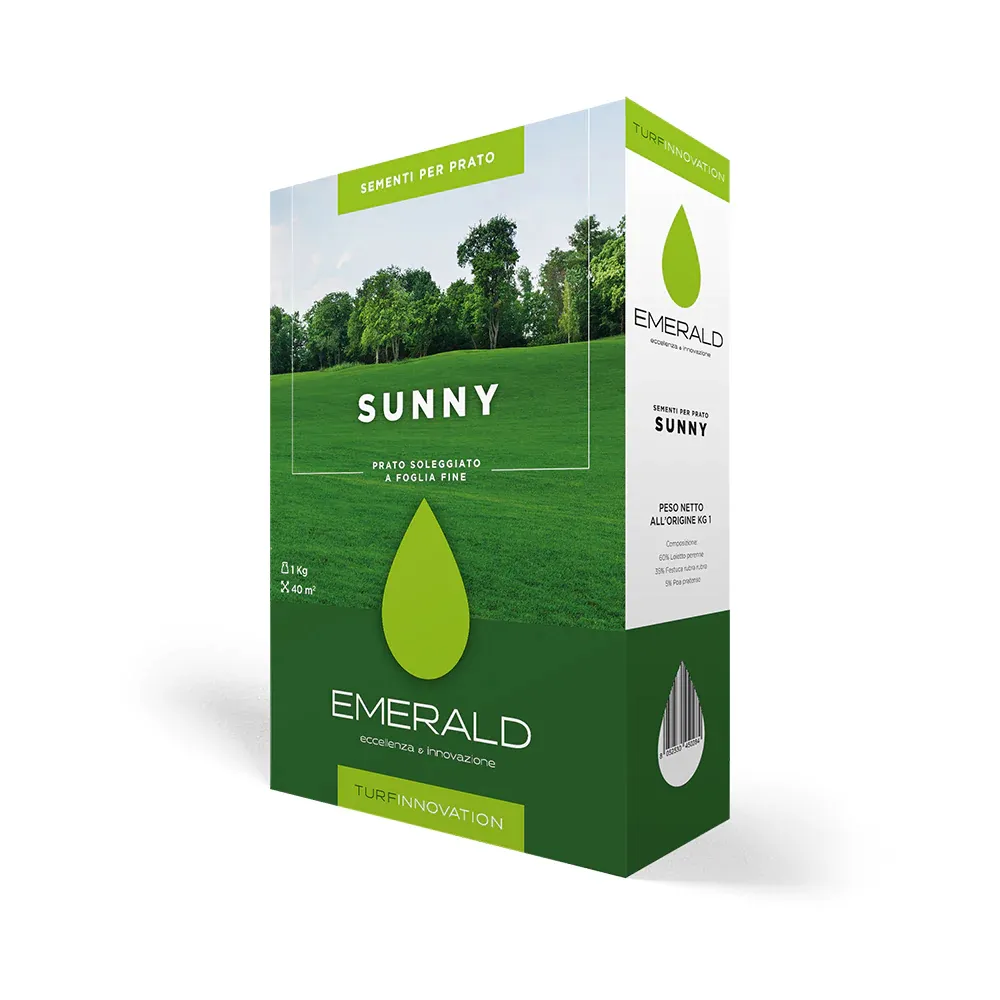 Emerald Sunny - Bužinija, Novigrad