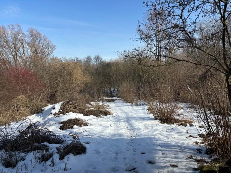građevinsko zemljište, josipovac, 6000 m2 - slika 13