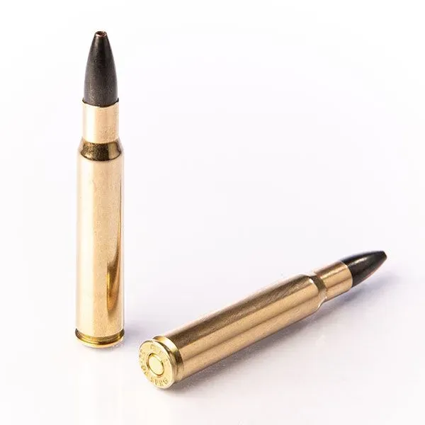 Karabinsko streljivo FIOCCHI 30-06 SE 11,7g / 180gr - Poreč