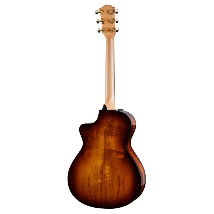 taylor 222ce-k dlx - slika 2