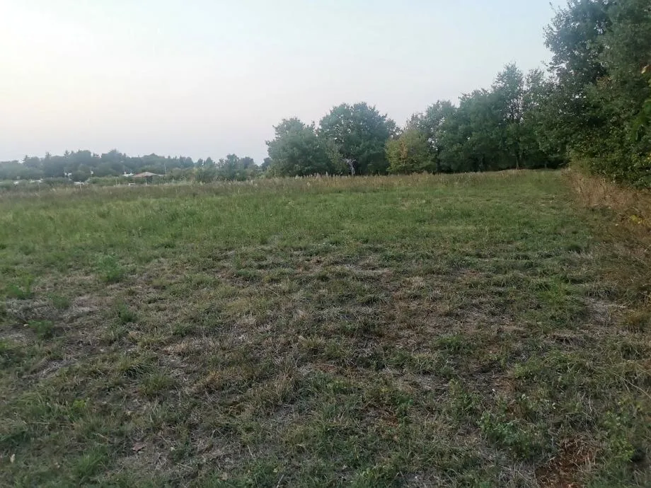 zemljište prodaja vabriga 2521 m2 - slika 3