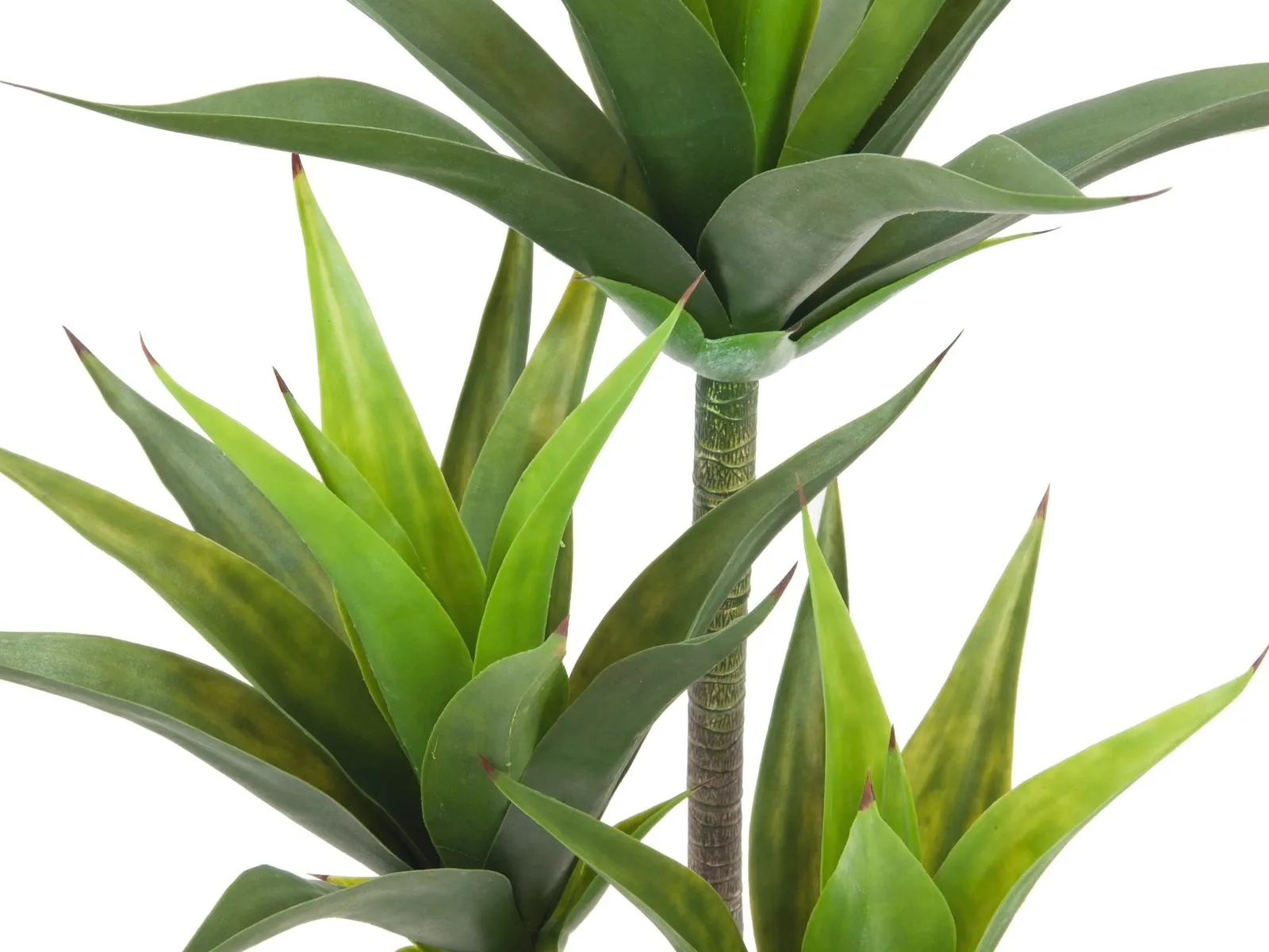europalms yucca, 3 trunks, 125cm - slika 2