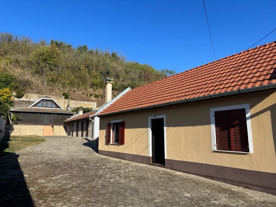 imanje za odmor i proslave: batina, 666.00 m2 - slika 2