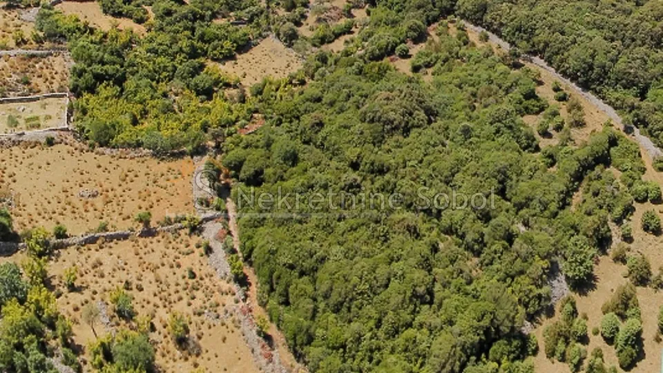 punta križa, otok cres - gradjevinsko, 4435 m2 prodaja - slika 3