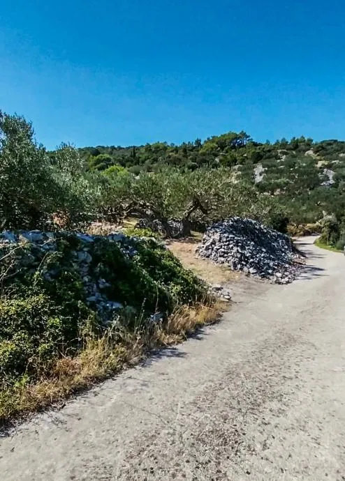 povlja, brač – maslinik s 50 odraslih maslina s pogledom na more - slika 5