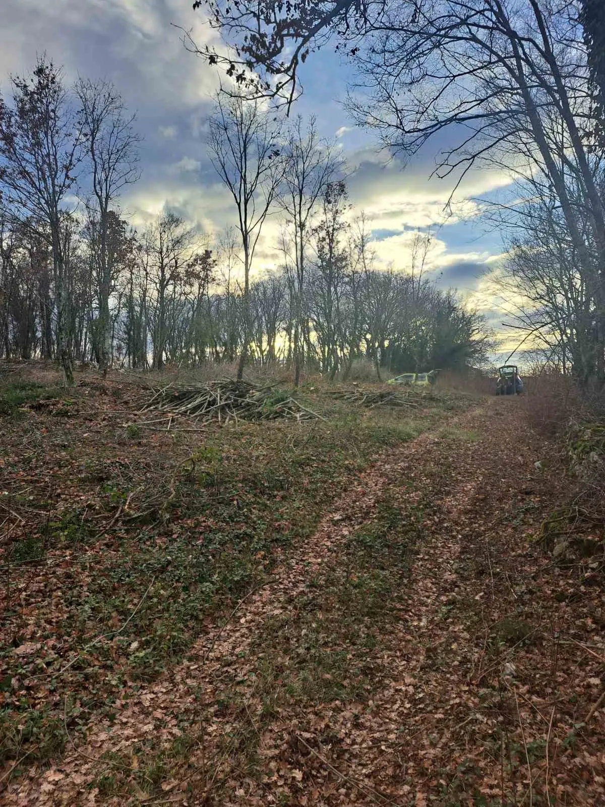 građevinsko zemljište, kringa, tinjan, istra, vel. 1150 m2 - slika 3
