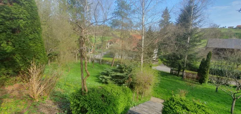 poljana sutlanska, drv. kućica i započ.gradnja kuće na imanju 11600m2 - slika 6