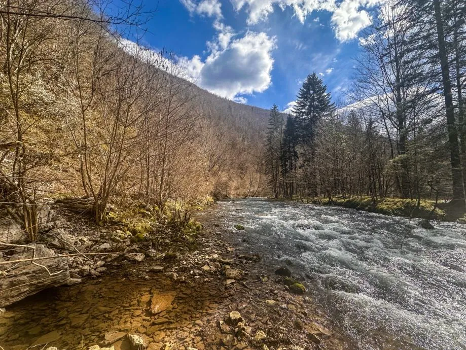 gorski kotar – kuća na osami u nacionalnom parku risnjak (prodaja) - slika 19