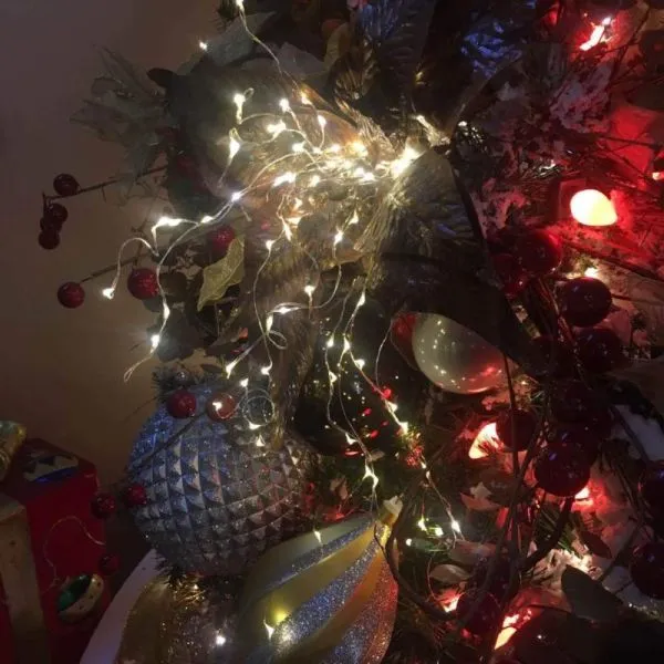 dekorativna led svjetleća žica 100cm ili 300 cm - slika 2