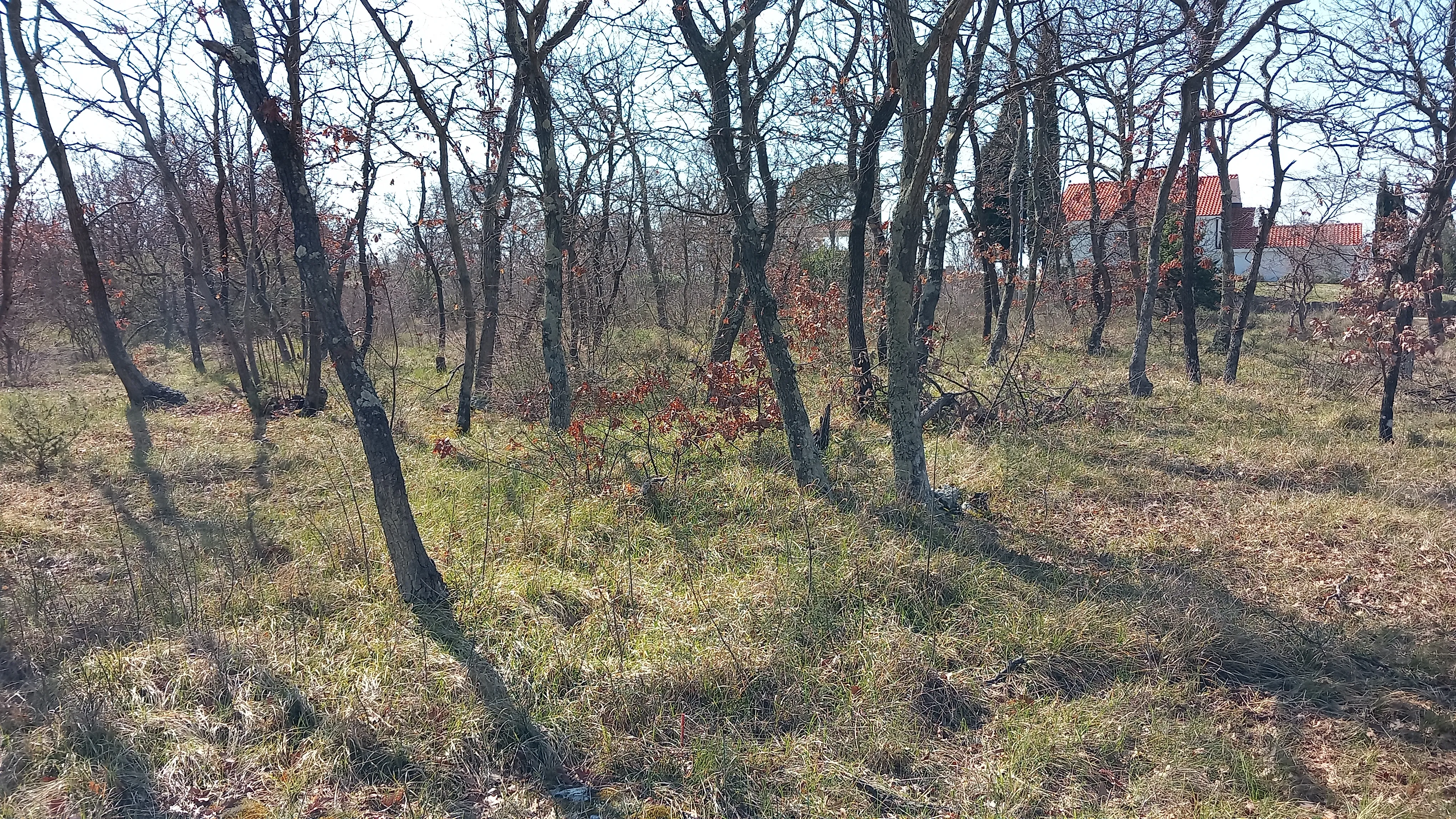 prodaja građevinskog terena - slika 1
