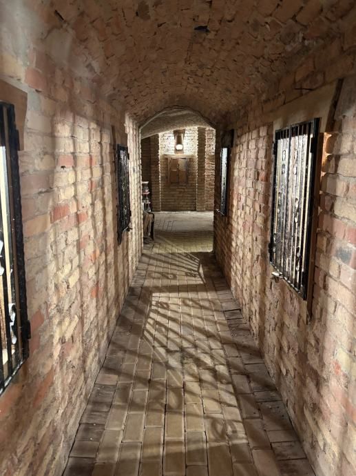 poslovna zgrada: kneževi vinogradi, destilerija i kušaona, 2500 m2 - slika 16