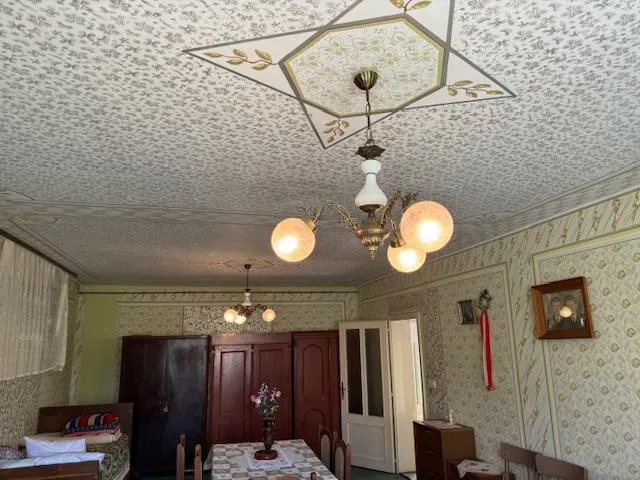 64. mikluševci, rusinska 47, obiteljsko gospodarstvo s kućom 220 m2 - slika 5