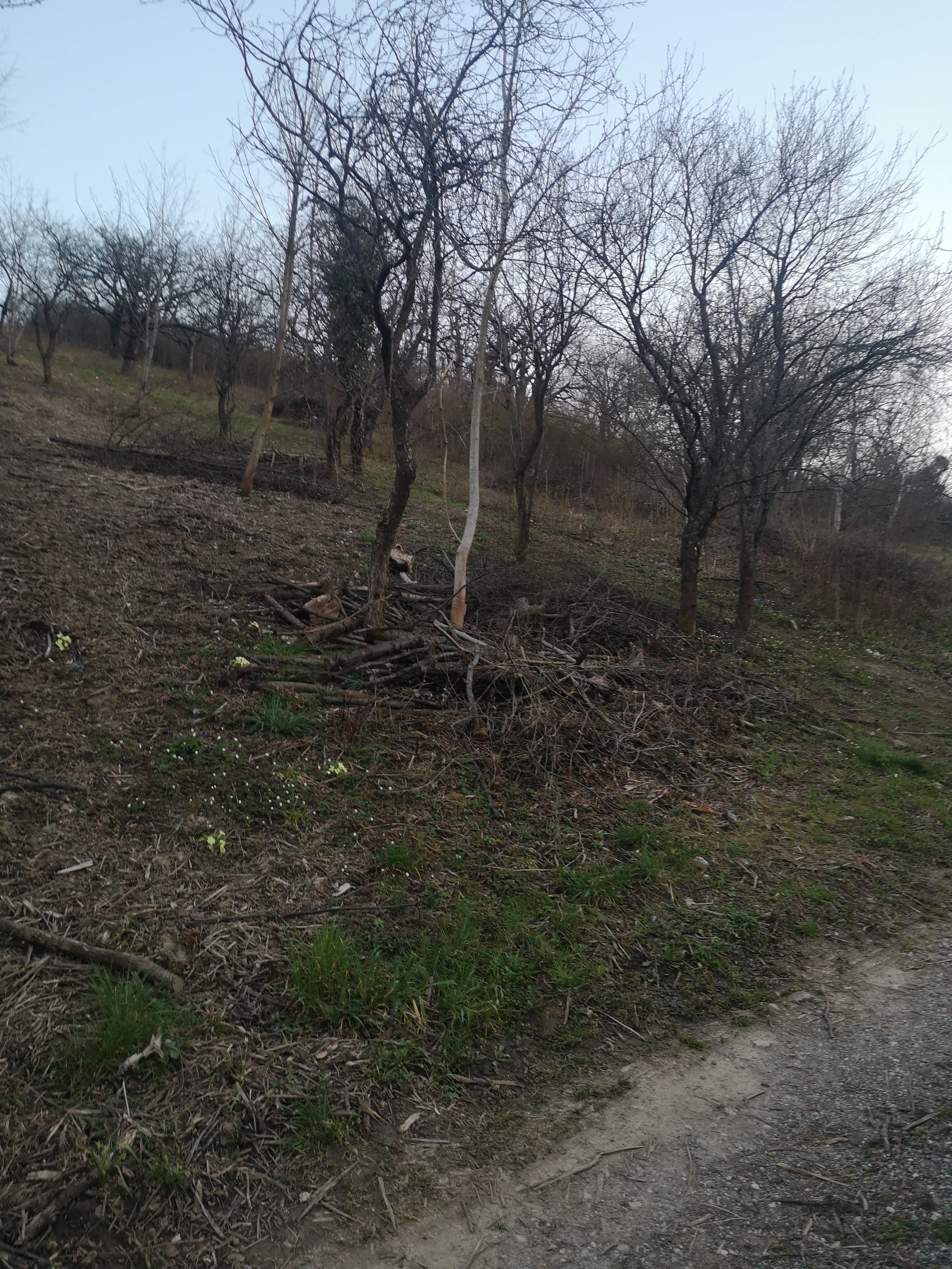 gradilište-voćnjak 1119 m2 markuševec****prodaja-zamjena**** - slika 19