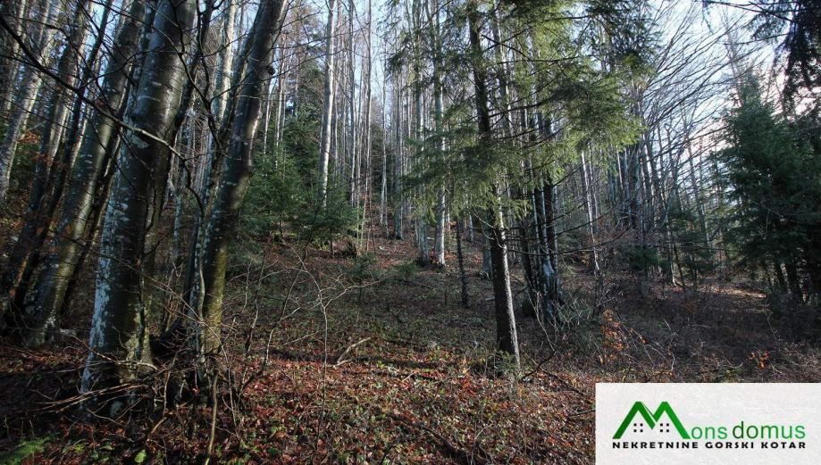 vikendica za obiteljski odmor (prodaja) - slika 4