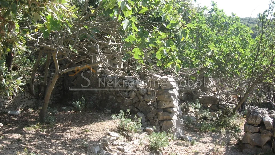 ustrine, otok cres - kuća (ruševina), 92 m2 prodaja - slika 3