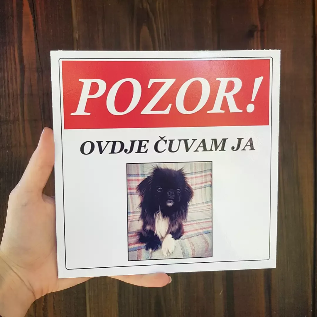 table oštar pas - slika 3
