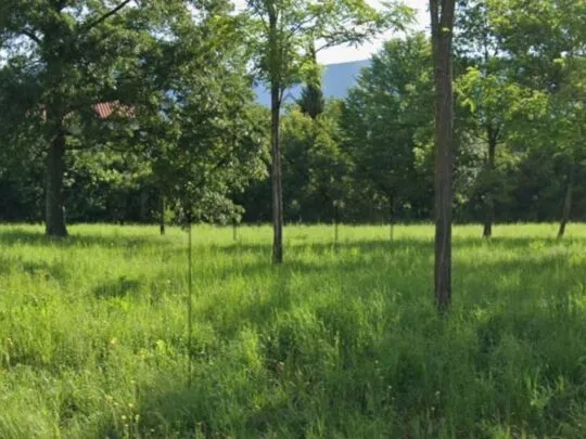 istra, kršan, građevinsko zemljište 1500 m² - slika 4