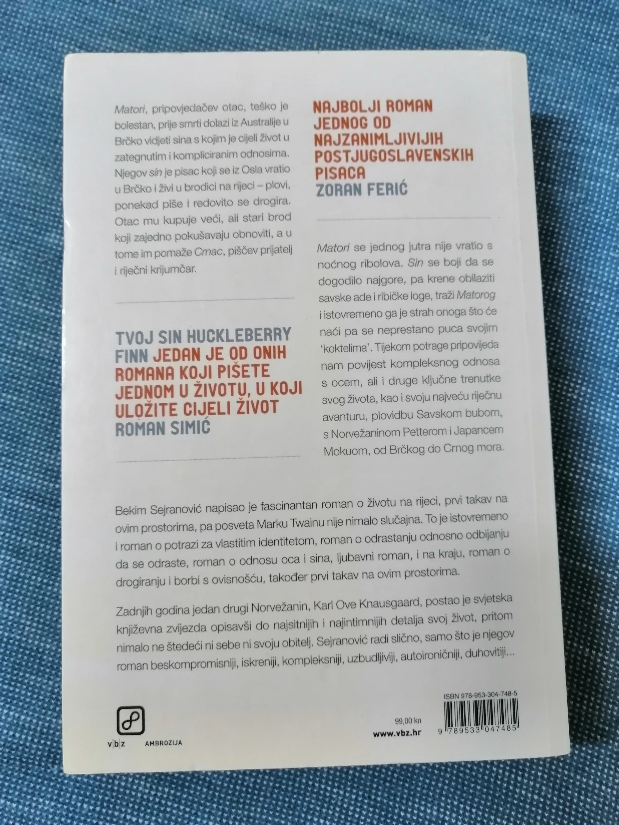 bekim sejranović – tvoj sin huckleberry finn - slika 5