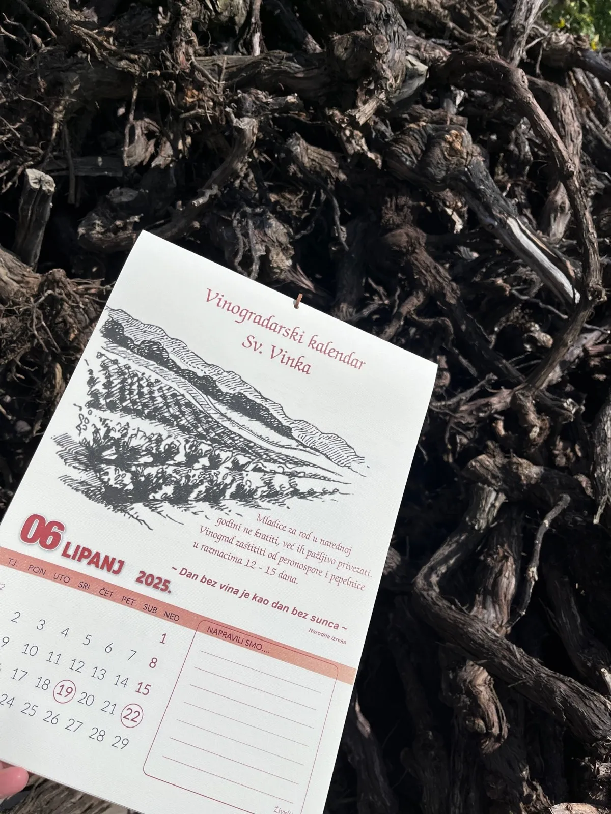 zidni vinogradarski kalendar sv. vinka - slika 8